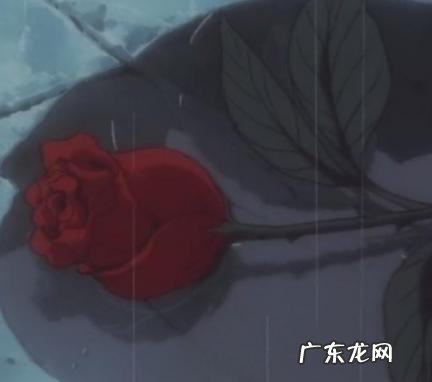 现代孝期一般几天 现代孝期一般几天,孝期有哪些注意事项