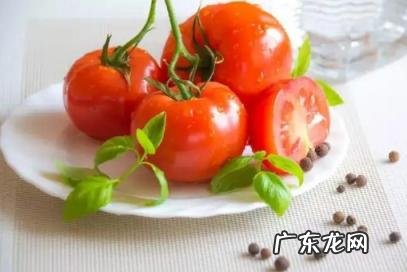 西红柿怎么吃比较健康 爱吃西红柿是缺维生素吗