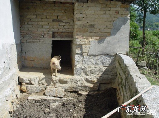 为什么有些农村房屋面积很大却还把厕所建在家门口?冬天不冷吗?