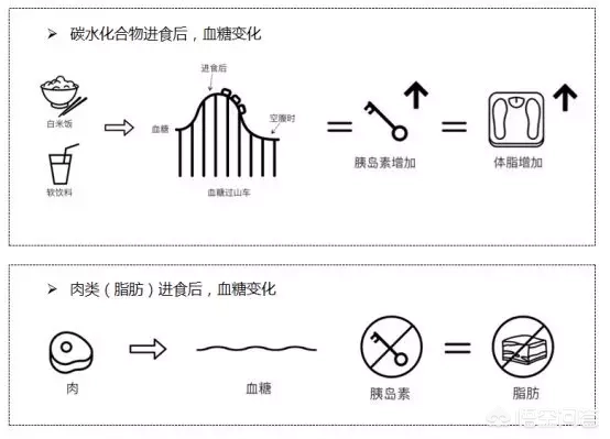 低脂肪和低碳水,哪种食谱的减肥效果好?