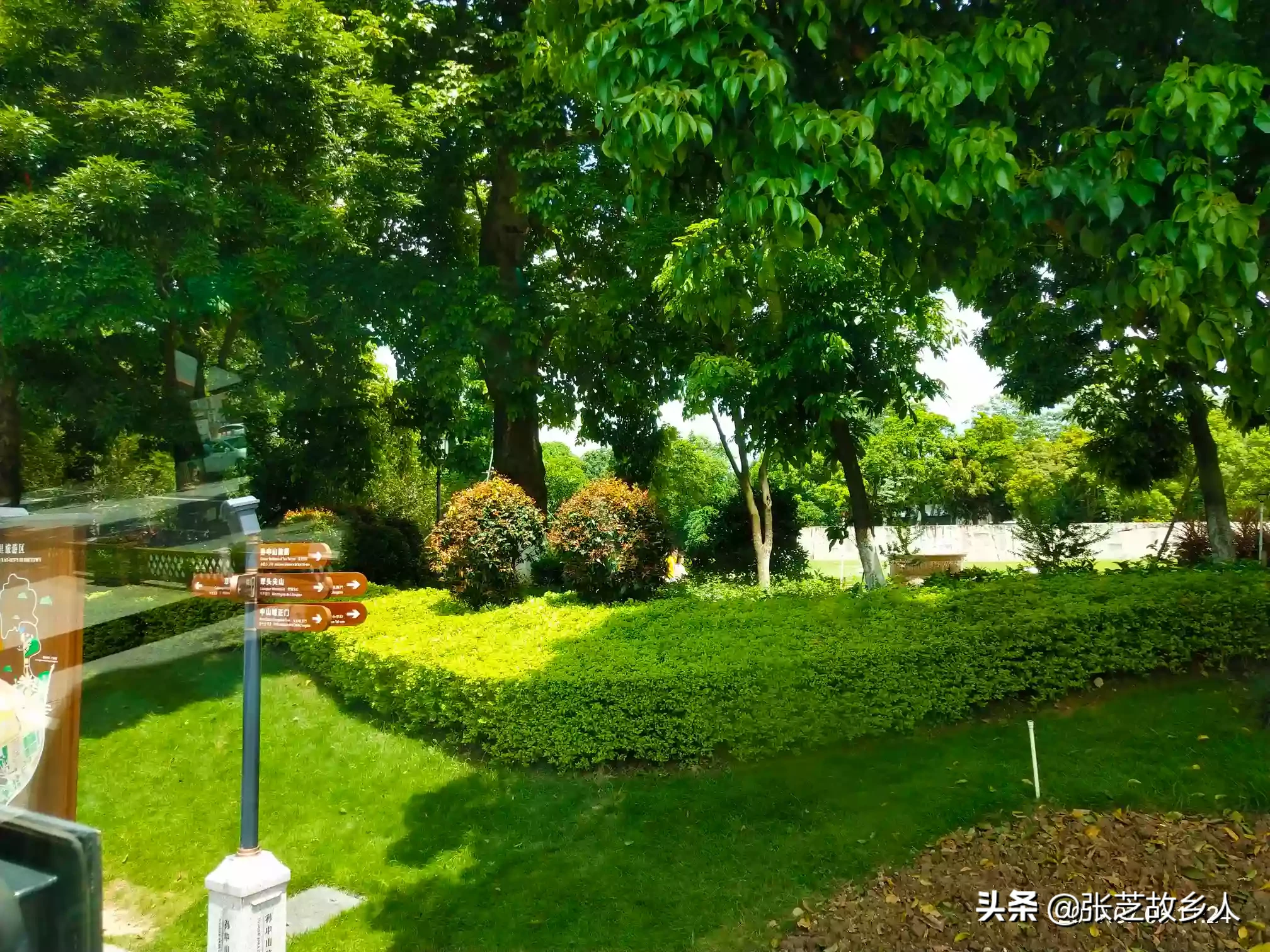 为什么我爱的人会爱上别人?