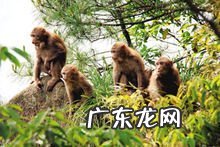 九华山在哪个省哪个市哪个县 南海普陀山在哪个省哪个市