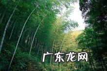 九华山在哪个省哪个市哪个县 南海普陀山在哪个省哪个市