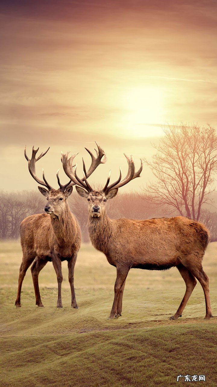 你还做考试的梦吗?