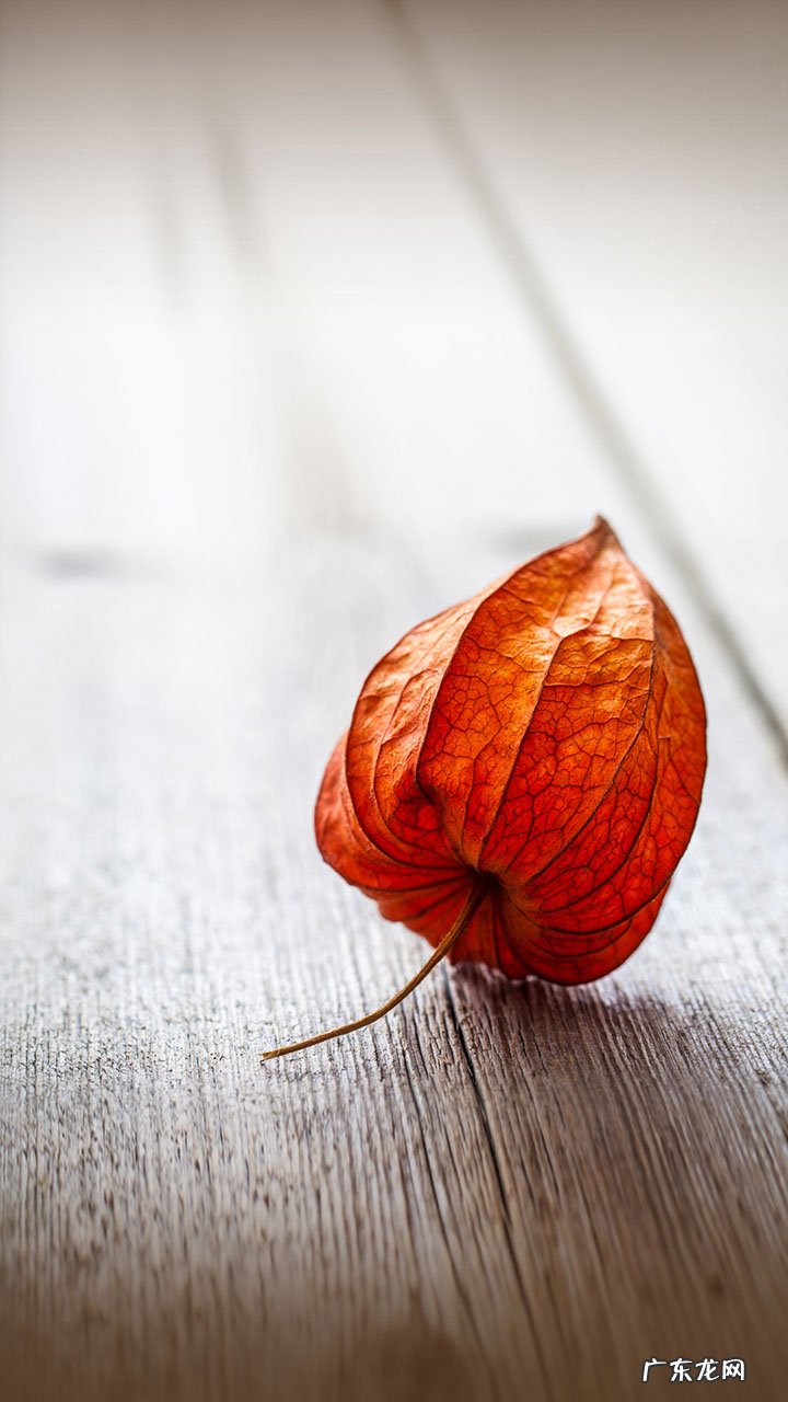 你还做考试的梦吗?