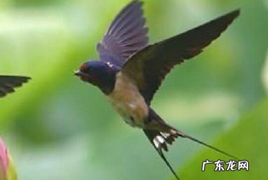 家破人亡的八种风水 家破人亡的八种风水大门口哇 阴阳八卦镜