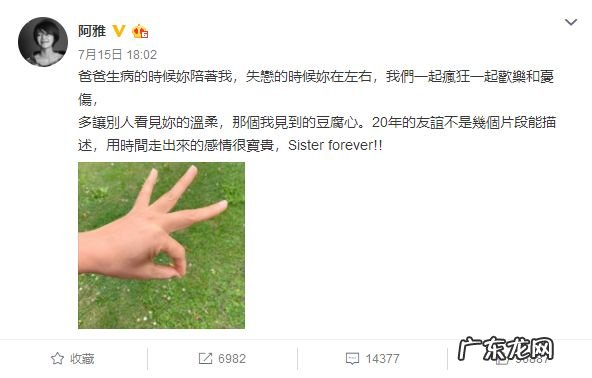 南湘为什么恨顾里 顾里和南湘和好了吗