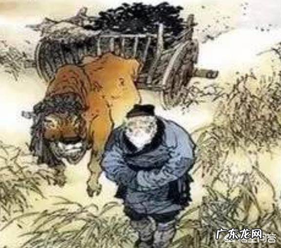 古人是如何应对雪灾的?