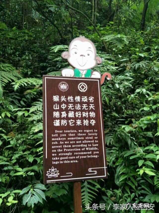 峨眉山两日游自助攻略价格 峨眉山两日游最佳路线图