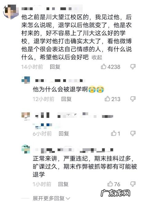 王甜心有病吗 曾被川大退学后深受打击