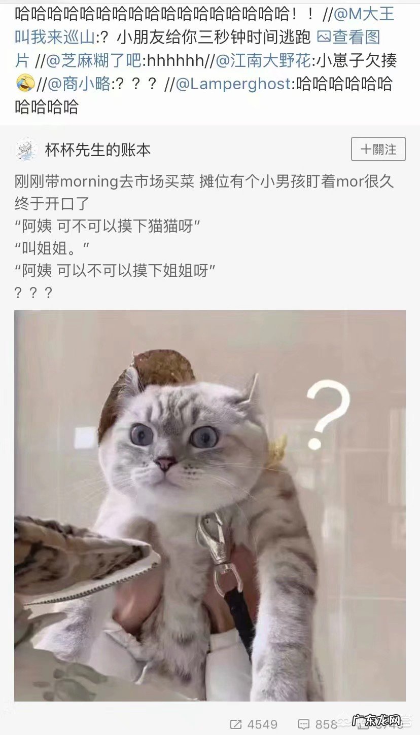 你有能让你笑一辈子的笑话或者图片吗?