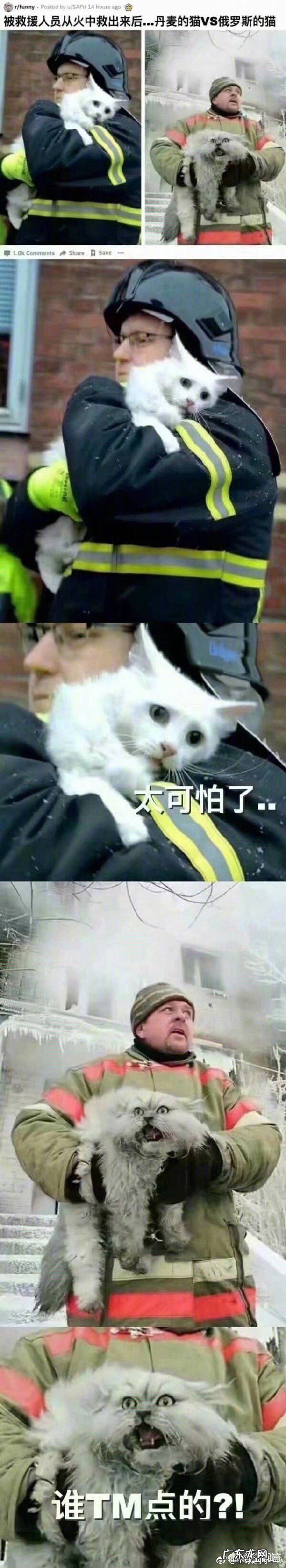 你有能让你笑一辈子的笑话或者图片吗?