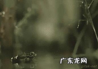 你有能让你笑一辈子的笑话或者图片吗?