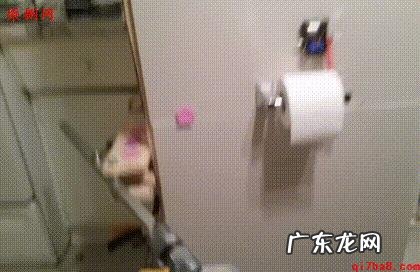 你有能让你笑一辈子的笑话或者图片吗?