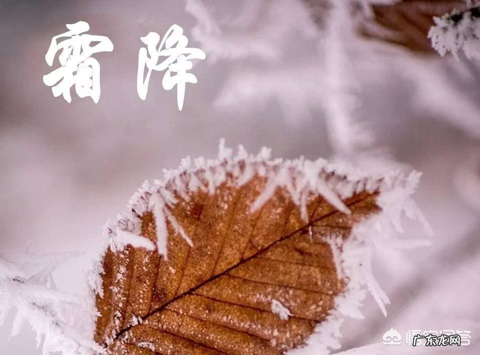 “一年补透透,不如补霜降”,霜降过后,该如何养生,助力冬季少生病?