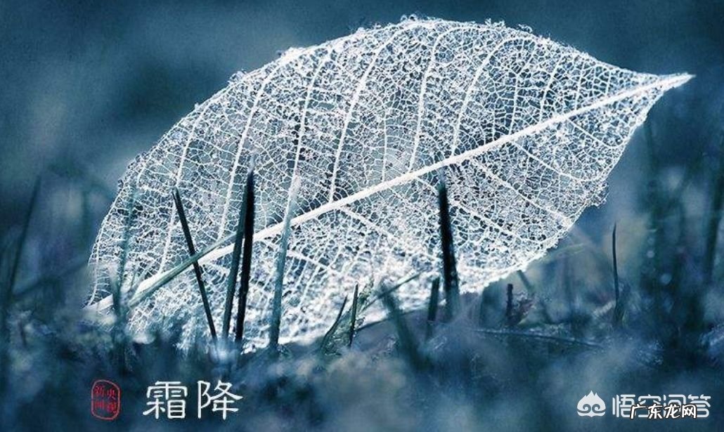 “一年补透透,不如补霜降”,霜降过后,该如何养生,助力冬季少生病?