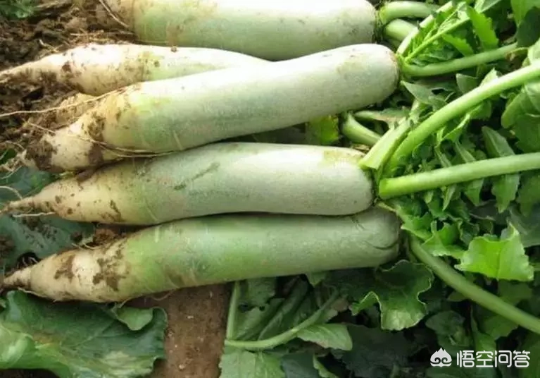 “一年补透透,不如补霜降”,霜降过后,该如何养生,助力冬季少生病?