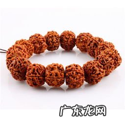 梅花桩金刚菩提价格 金刚菩提批发市场