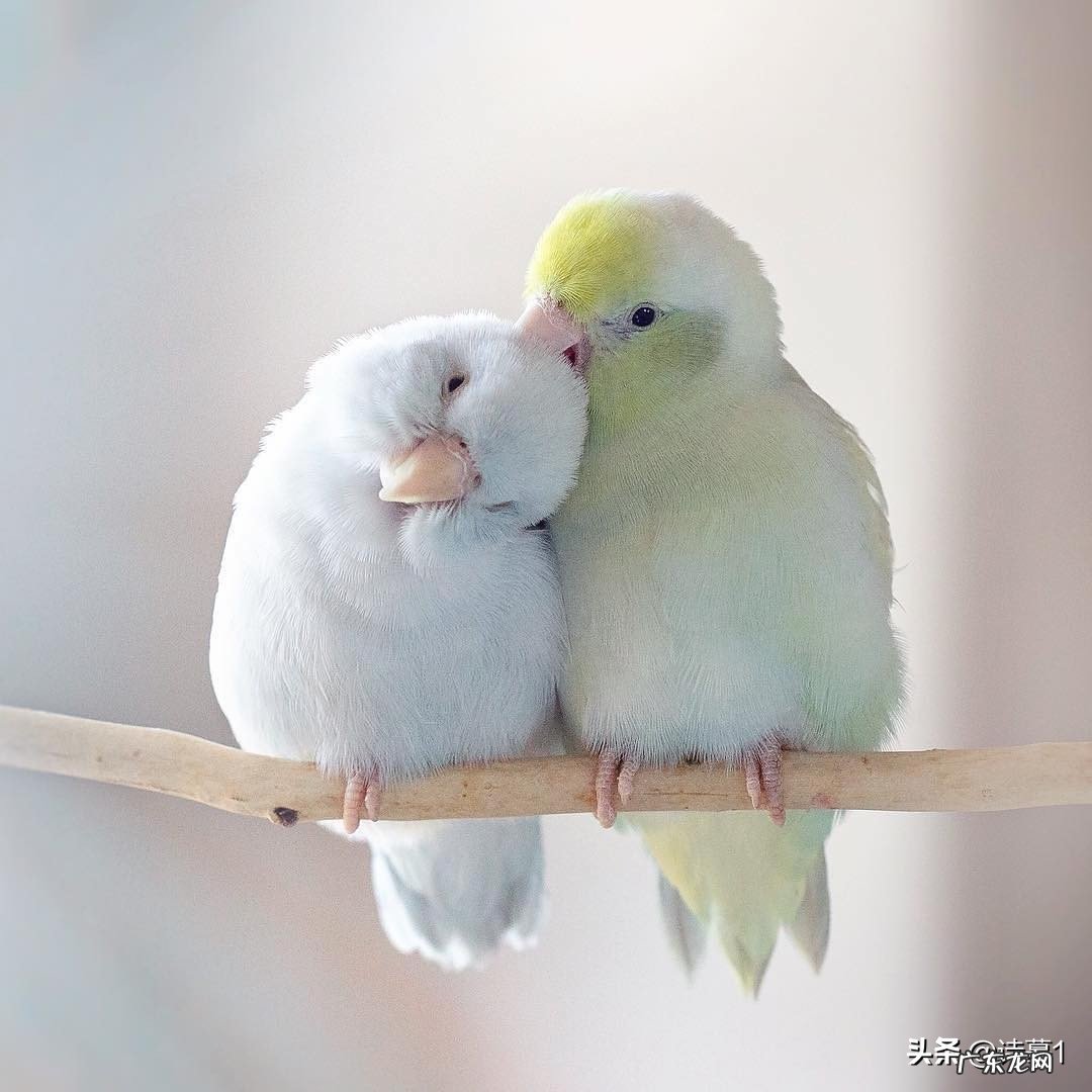 古诗词里的七夕溯源,现代人的七夕还浪漫吗?