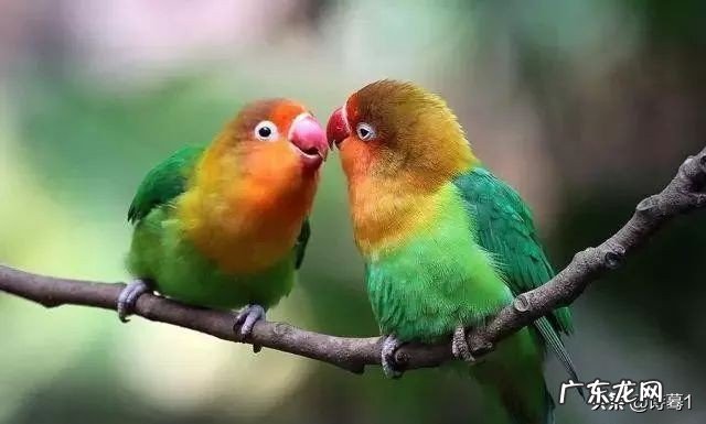 古诗词里的七夕溯源,现代人的七夕还浪漫吗?