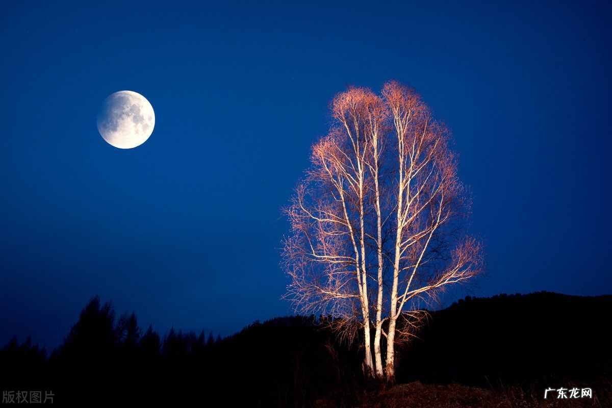 中国经典民歌200首联唱 民歌民谣是什么关系