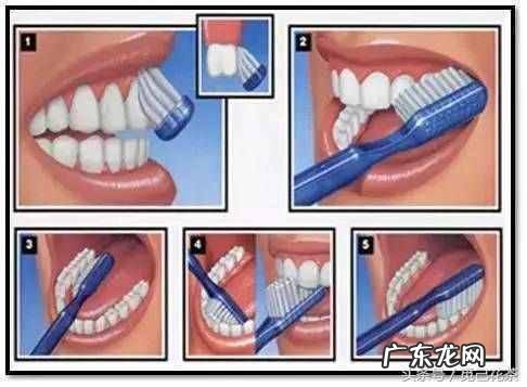 全国爱牙日日是几月几号 爱牙日的由来简写30字