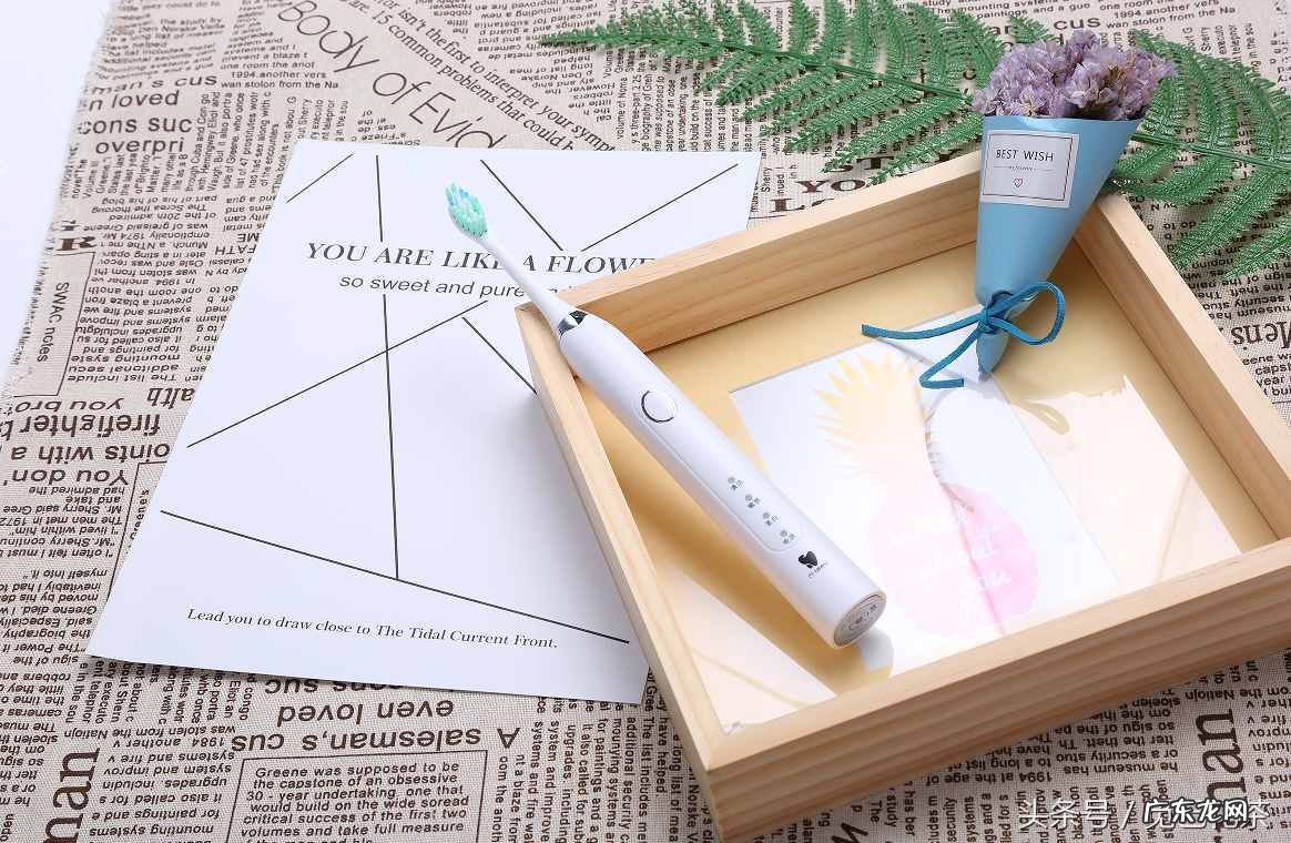 全国爱牙日日是几月几号 爱牙日的由来简写30字