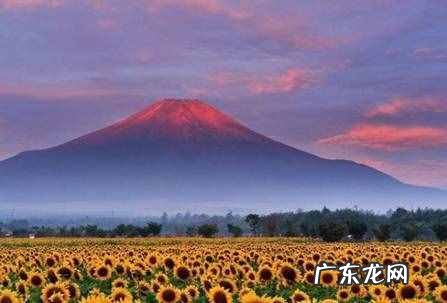 这10个郊区好景点有哪些 北京郊区旅游