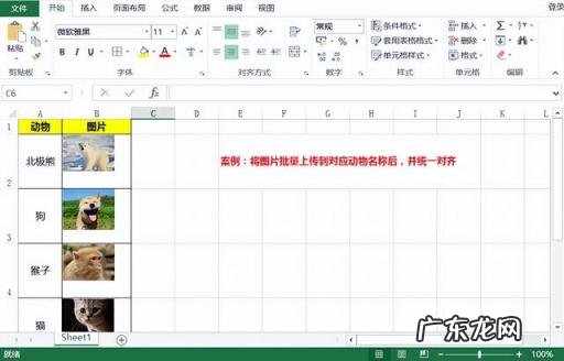 改变图片大小的操作方法 文档图片统一大小