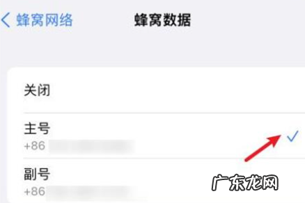 苹果手机可以双卡双待吗怎么设置 苹果手机可以双卡双待吗?