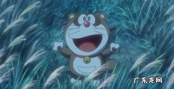 貉子是什么动物怎么读 貉子属于什么动物