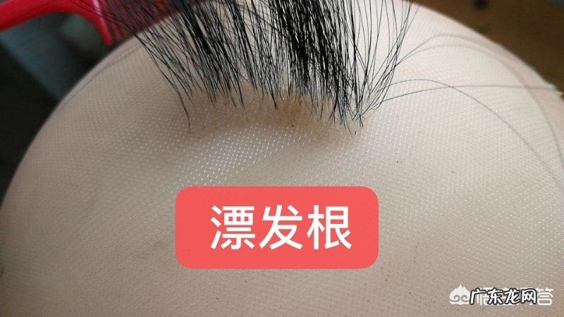 刘晓庆的假发为什么那么逼真？