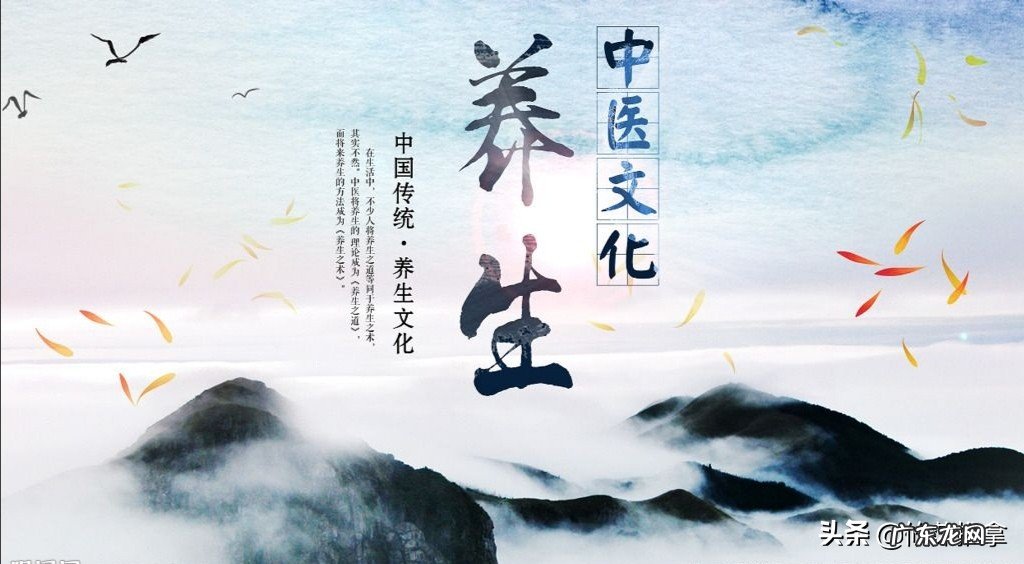 什么是养生?如何养生?