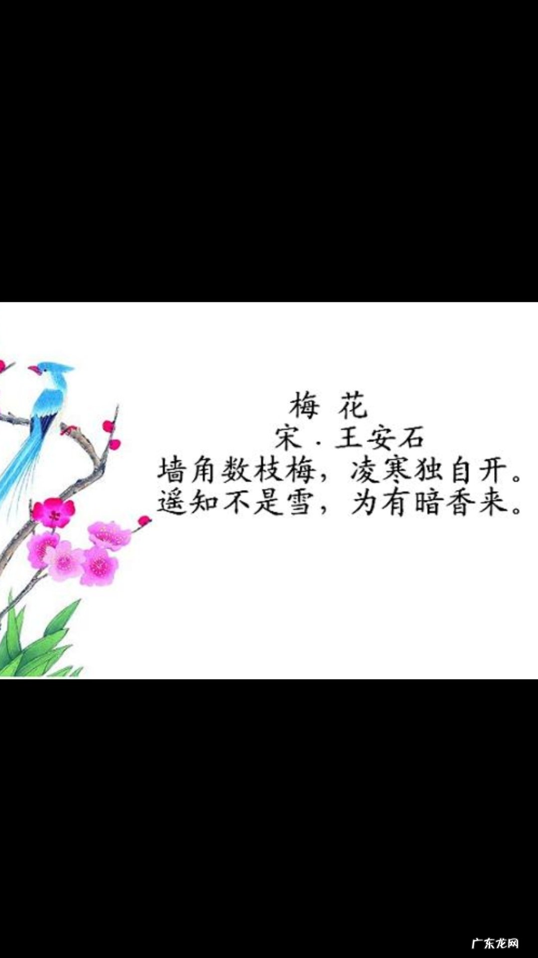 中国古诗里有哪些最能打动人心的梅花诗?