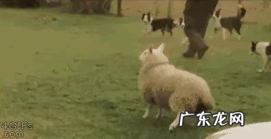 你遇到过的最变态的小学数学题是什么样的?