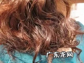 沙发的发型图片大全 沙发头发毛躁怎么变得柔顺光滑呢