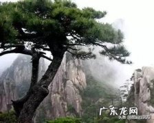 写作的乐趣是什么？