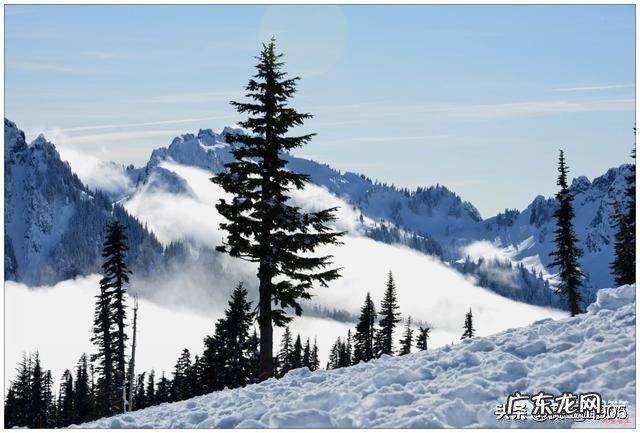 写作的乐趣是什么?