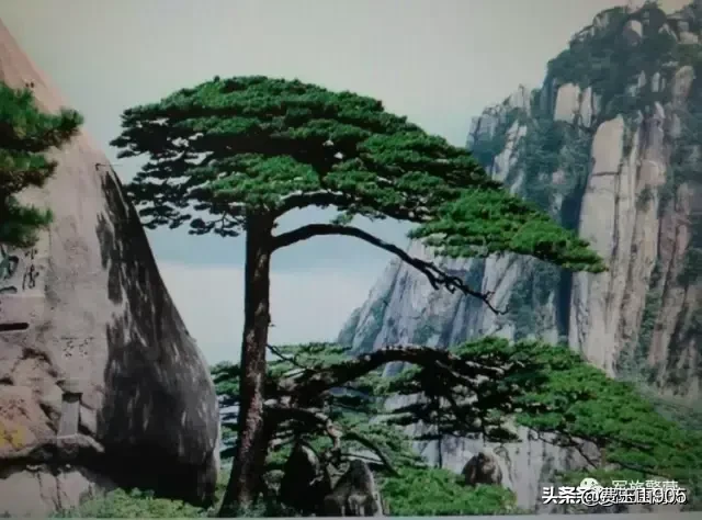 写作的乐趣是什么?