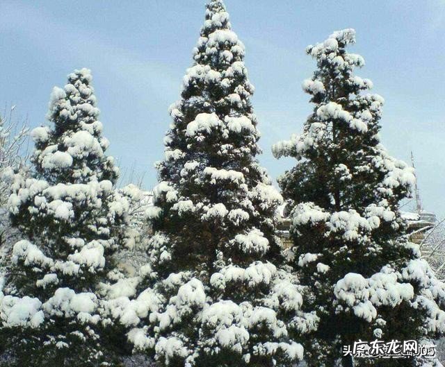 写作的乐趣是什么?