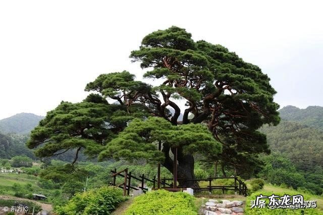 写作的乐趣是什么?