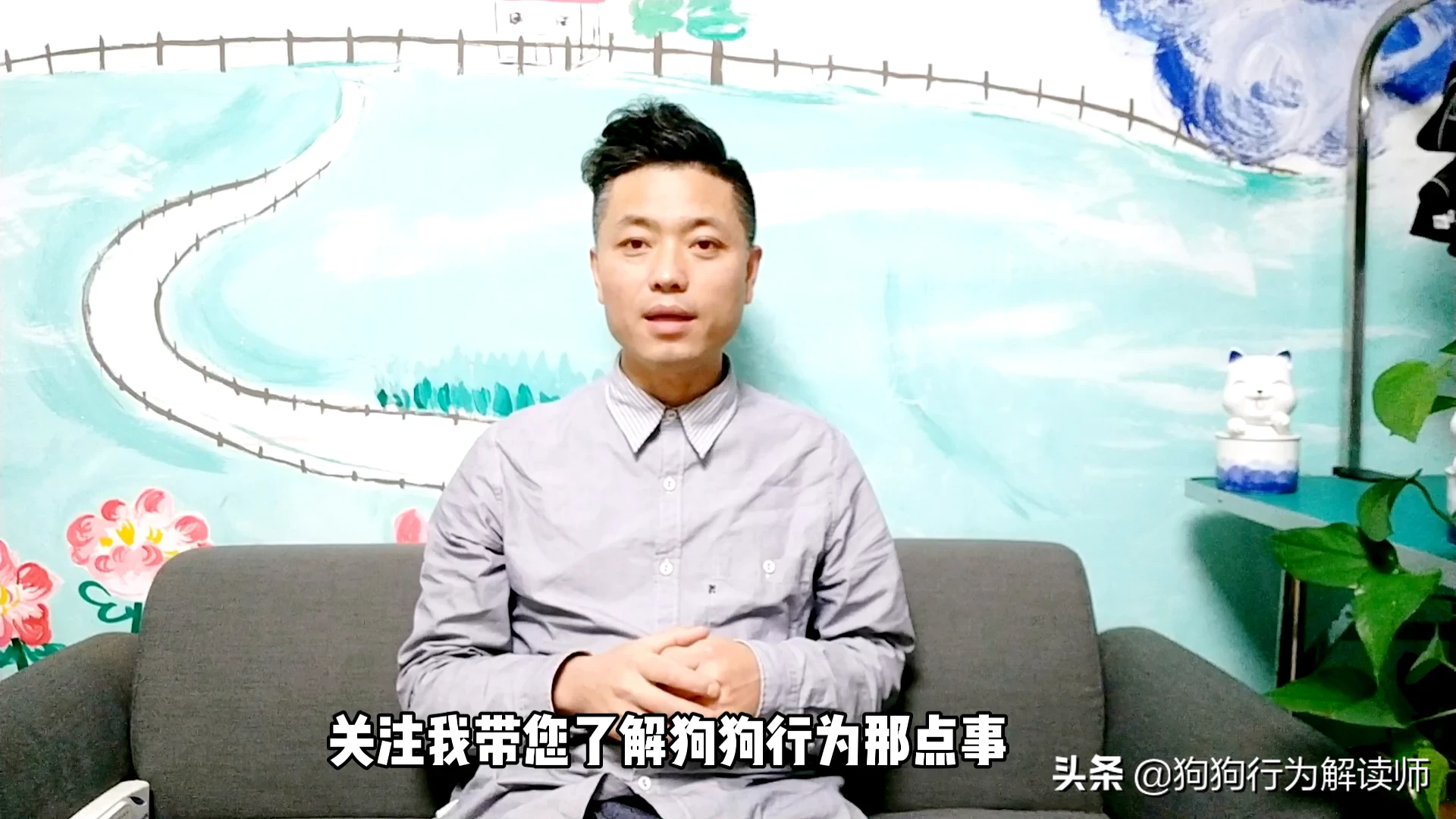 养边境牧羊犬前，你需了解什么事，以免你会后悔？