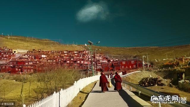 你自驾游最想去的是什么地方?