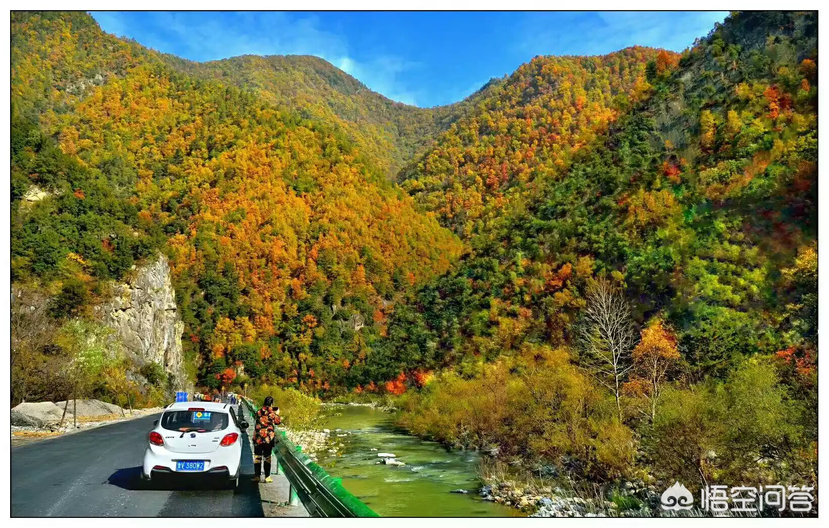 你自驾游最想去的是什么地方?