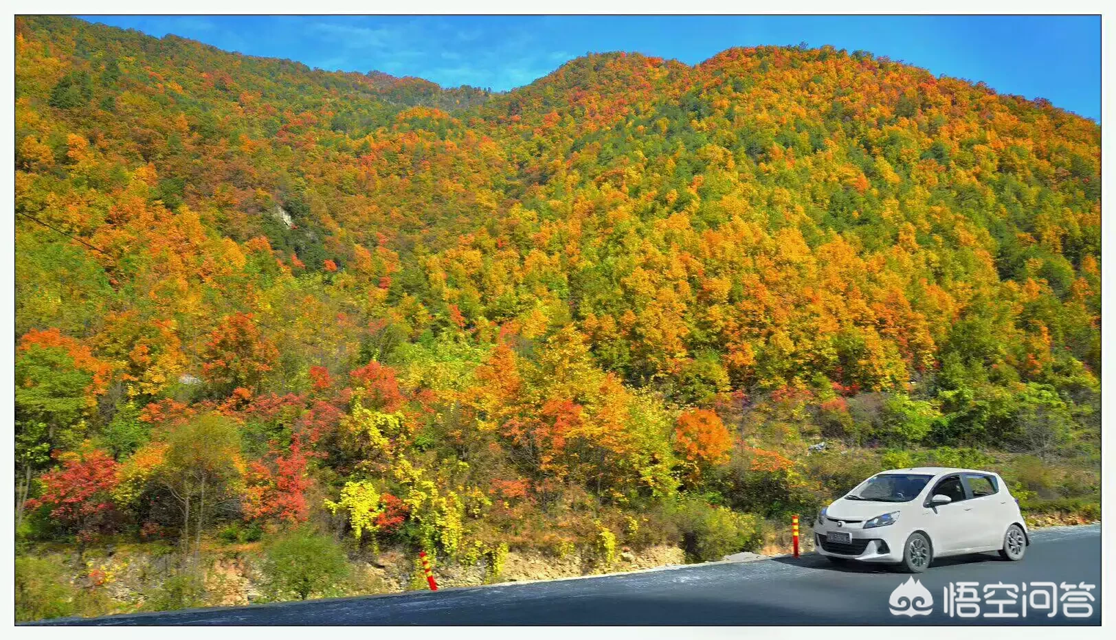 你自驾游最想去的是什么地方?