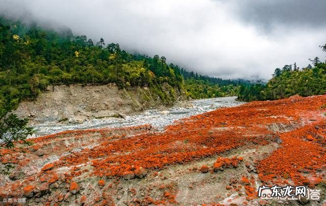 你自驾游最想去的是什么地方？
