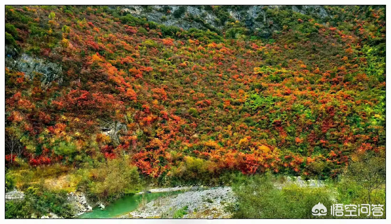 你自驾游最想去的是什么地方?