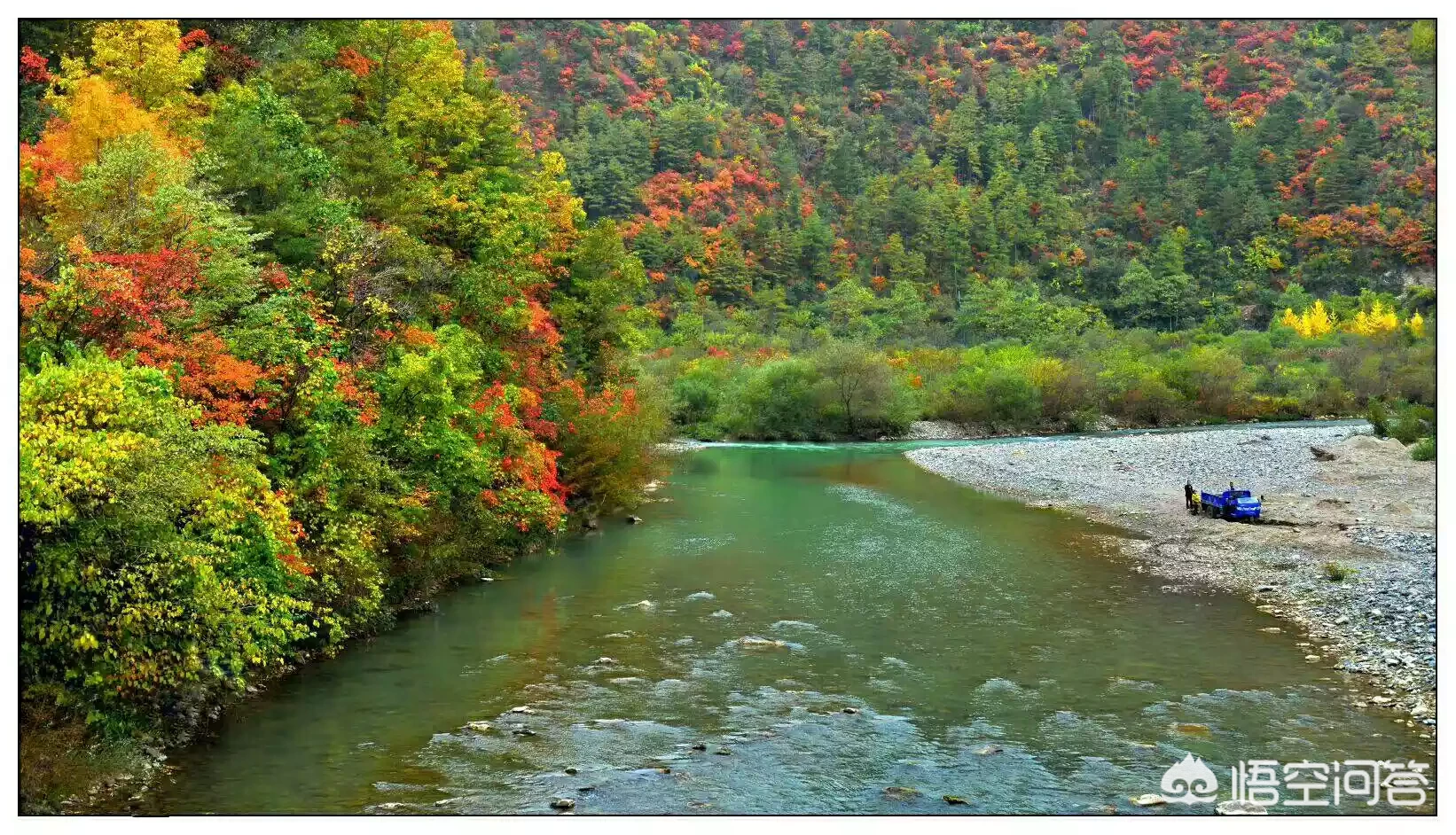 你自驾游最想去的是什么地方?