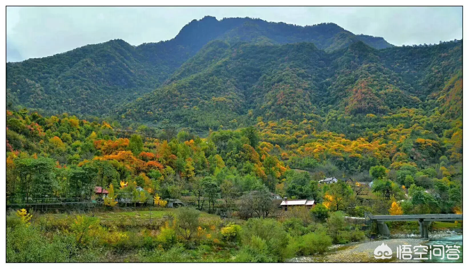 你自驾游最想去的是什么地方?