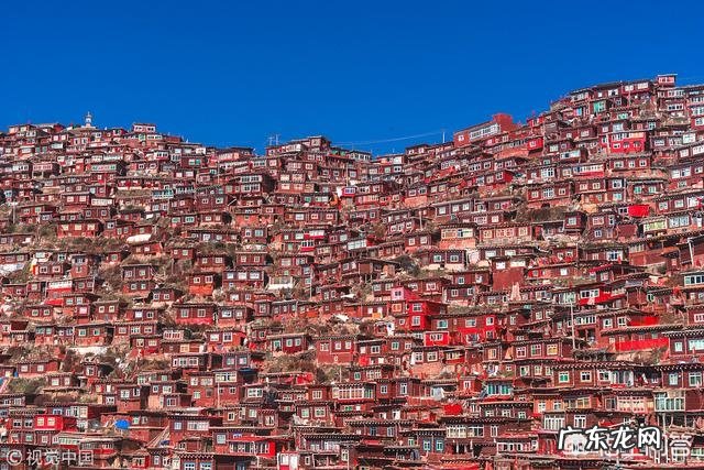 你自驾游最想去的是什么地方?